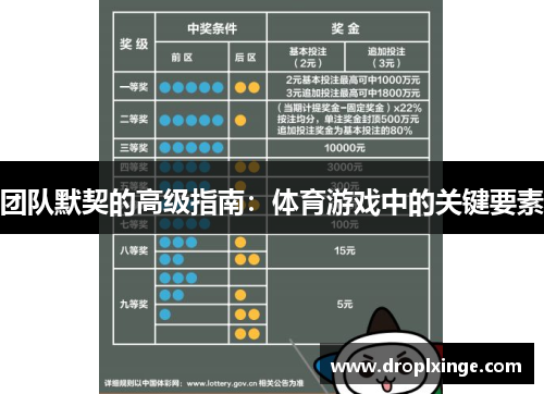 团队默契的高级指南：体育游戏中的关键要素